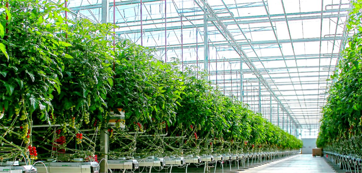 Проекти в областта на земеделието